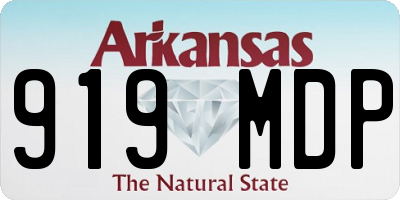 AR license plate 919MDP