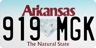 AR license plate 919MGK