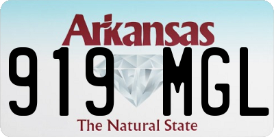 AR license plate 919MGL