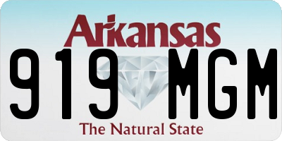AR license plate 919MGM