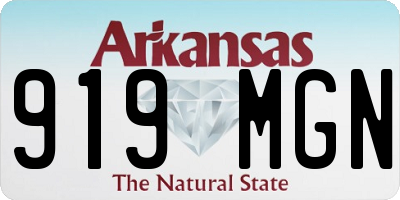 AR license plate 919MGN