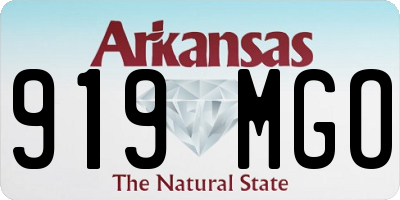 AR license plate 919MGO
