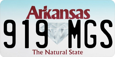 AR license plate 919MGS