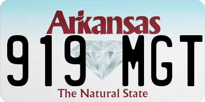 AR license plate 919MGT