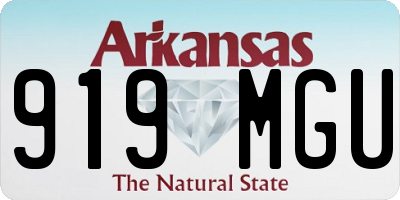 AR license plate 919MGU