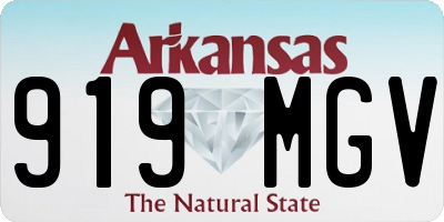 AR license plate 919MGV