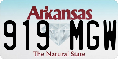 AR license plate 919MGW