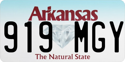 AR license plate 919MGY