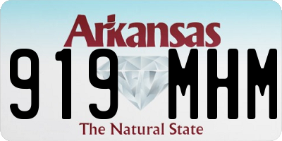 AR license plate 919MHM
