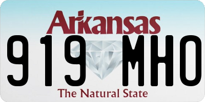 AR license plate 919MHO