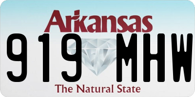 AR license plate 919MHW