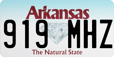 AR license plate 919MHZ