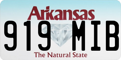 AR license plate 919MIB