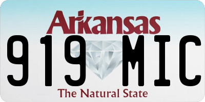 AR license plate 919MIC