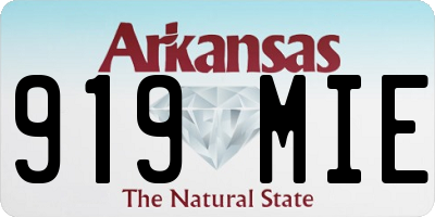 AR license plate 919MIE