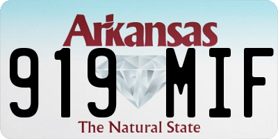 AR license plate 919MIF