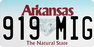 AR license plate 919MIG