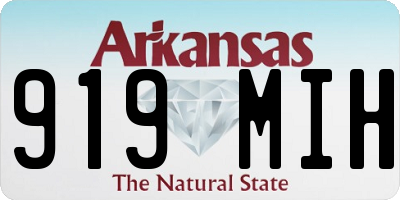AR license plate 919MIH