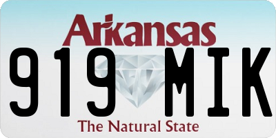 AR license plate 919MIK