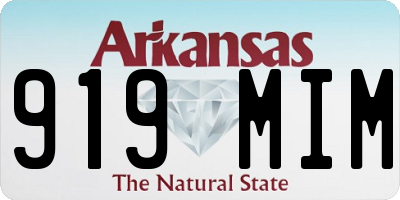 AR license plate 919MIM