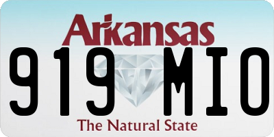 AR license plate 919MIO