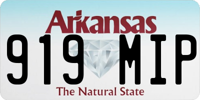 AR license plate 919MIP