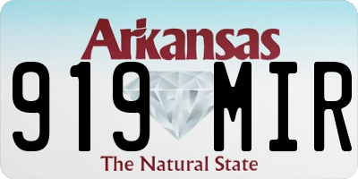 AR license plate 919MIR