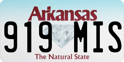 AR license plate 919MIS