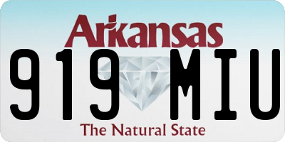 AR license plate 919MIU