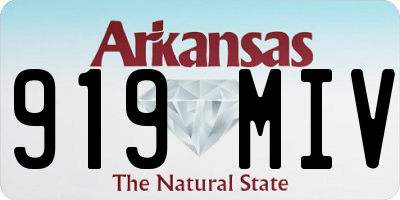 AR license plate 919MIV