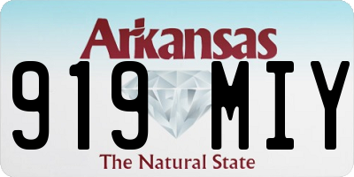 AR license plate 919MIY