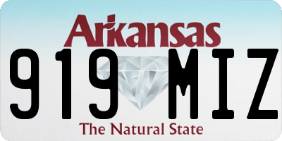 AR license plate 919MIZ