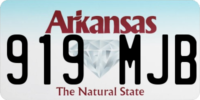 AR license plate 919MJB