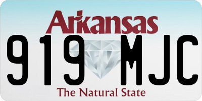 AR license plate 919MJC