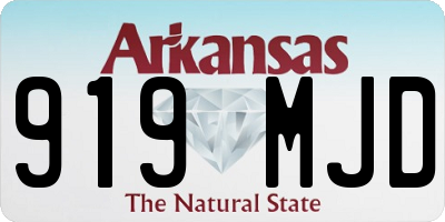 AR license plate 919MJD