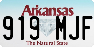 AR license plate 919MJF
