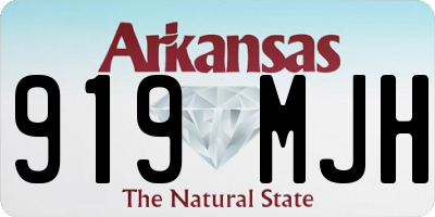 AR license plate 919MJH