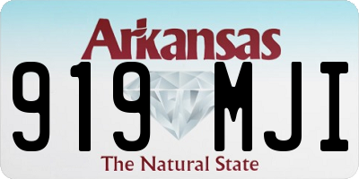 AR license plate 919MJI