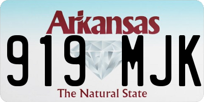 AR license plate 919MJK