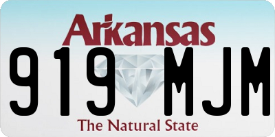 AR license plate 919MJM