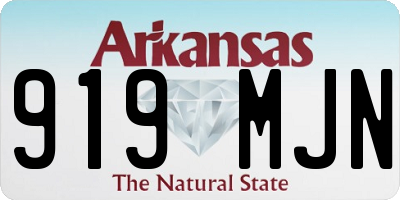 AR license plate 919MJN