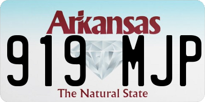 AR license plate 919MJP