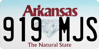 AR license plate 919MJS