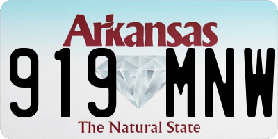 AR license plate 919MNW