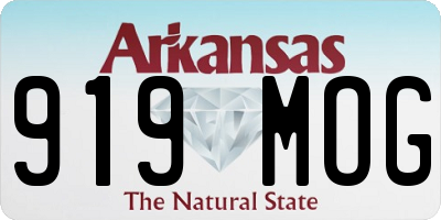 AR license plate 919MOG