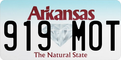 AR license plate 919MOT