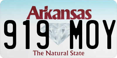AR license plate 919MOY