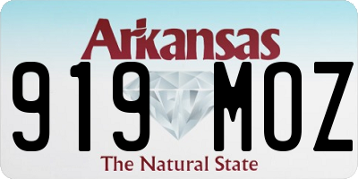 AR license plate 919MOZ