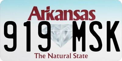 AR license plate 919MSK