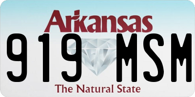 AR license plate 919MSM